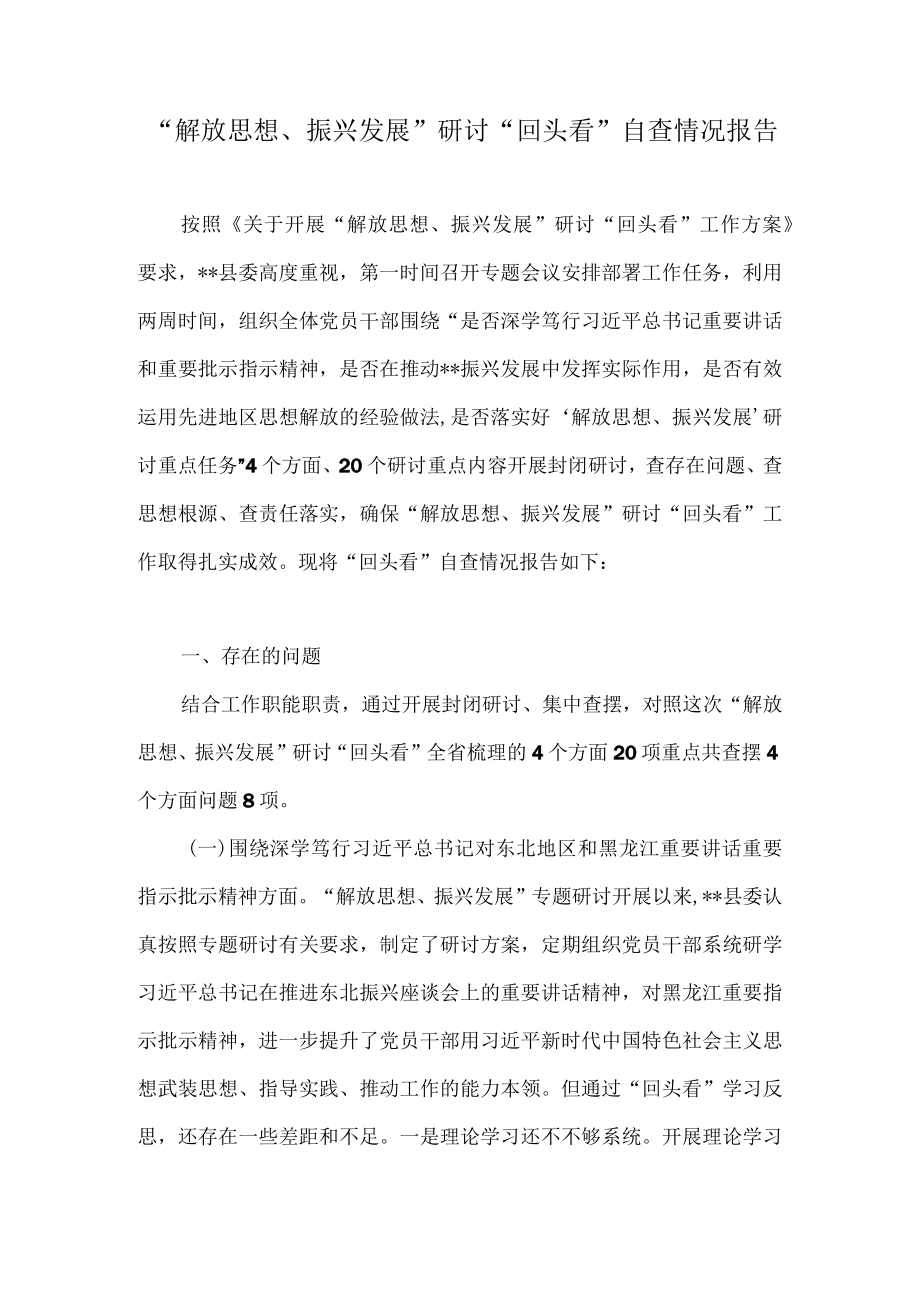 “解放思想、振兴发展”研讨“回头看”自查情况报告（附研讨发言）.docx_第1页