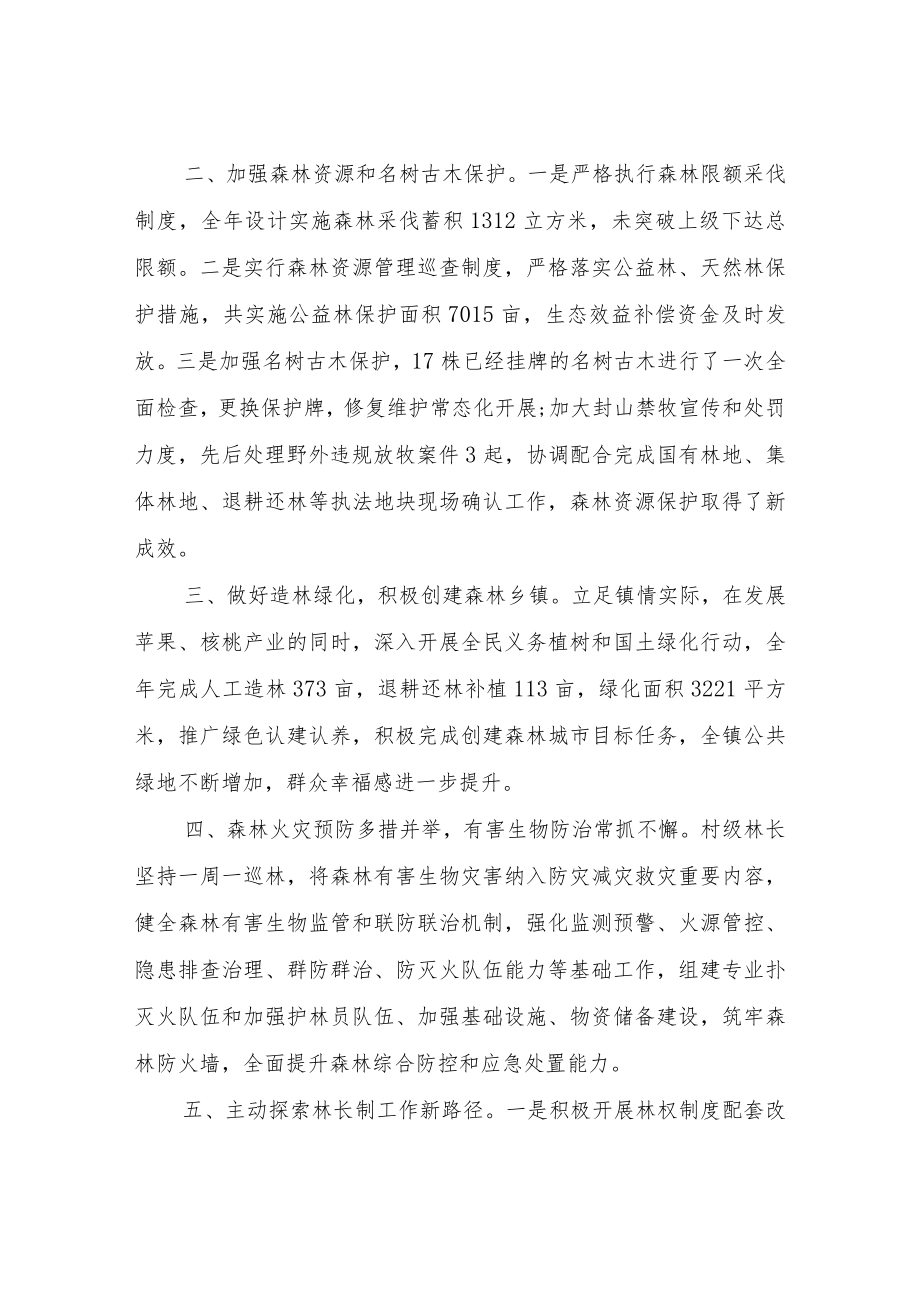 XX镇2021林长制工作总结的报告.docx_第2页