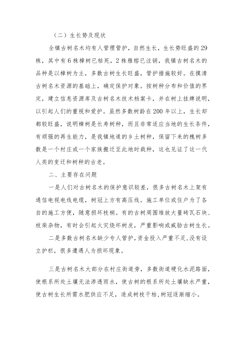 XX镇古树名木的调查总结.docx_第2页