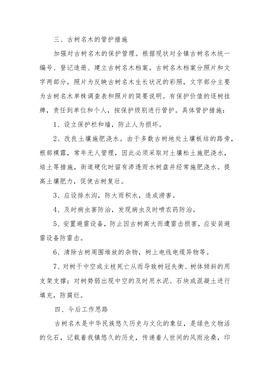 XX镇古树名木的调查总结.docx_第3页