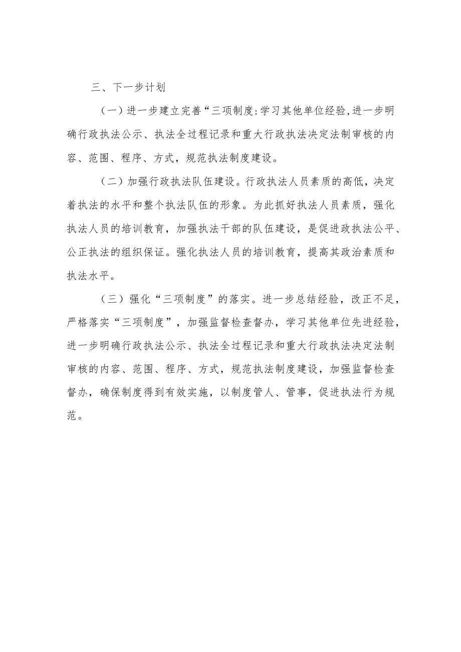 XX区市场监督管理局关于全面推行行政执法三项制度自查报告.docx_第3页