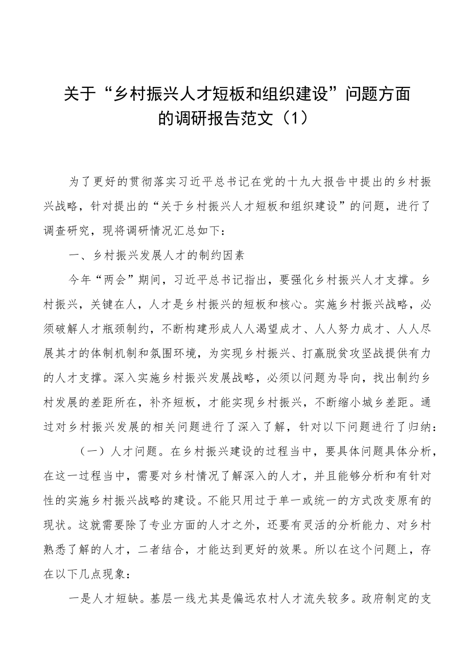 乡村振兴调研报告范文（2篇）.docx_第1页