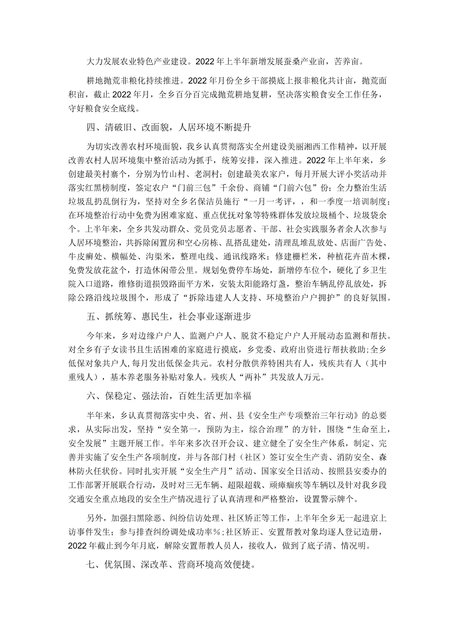 乡2022上半工作总结.docx_第2页