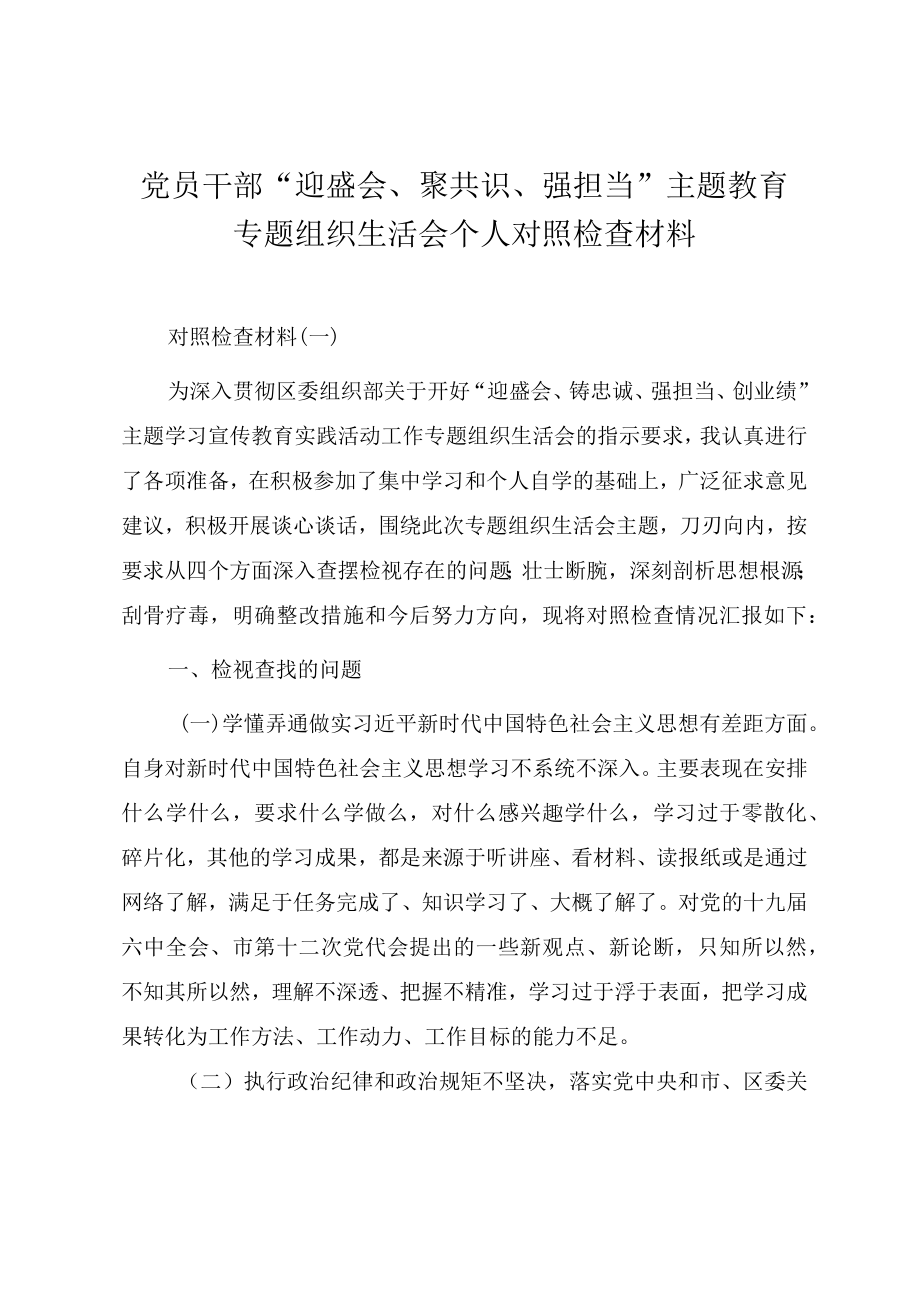 党员干部“迎盛会、聚共识、强担当”教育实践专题组织生活会个人对照检查材料.docx_第1页