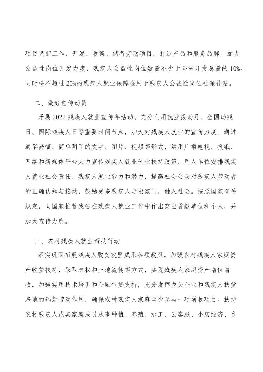 农村残疾人就业帮扶行动实施方案.docx_第2页