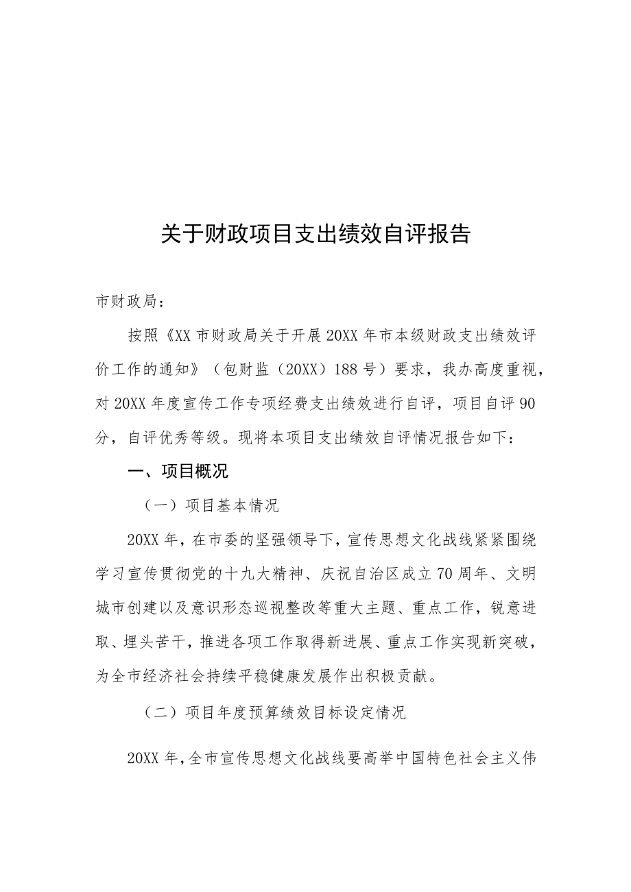 关于财政项目支出绩效自评报告.docx_第1页