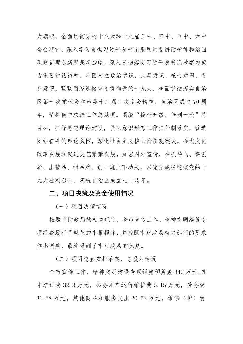 关于财政项目支出绩效自评报告.docx_第2页