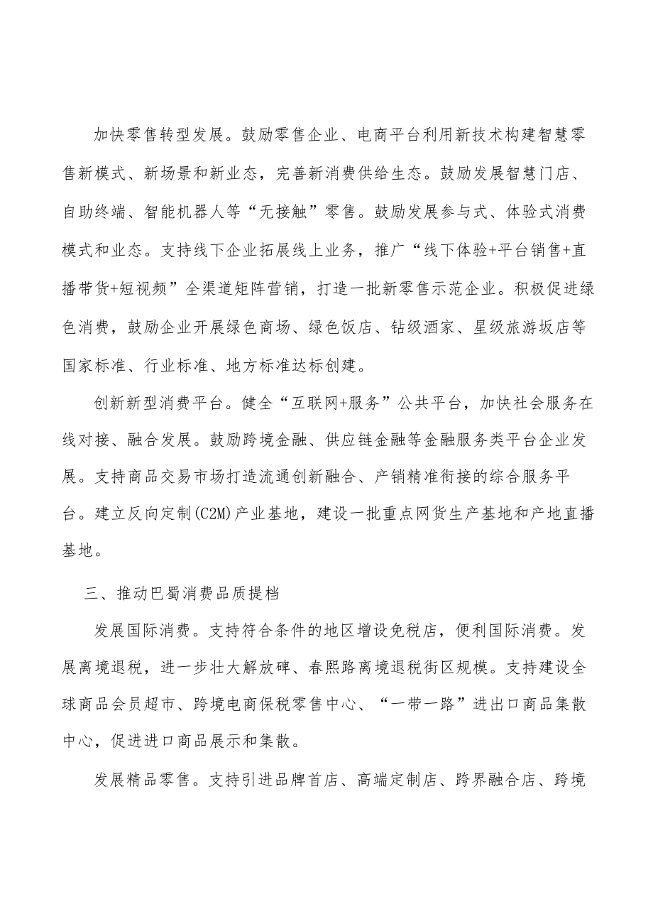 创新新型消费平台行动计划.docx_第2页