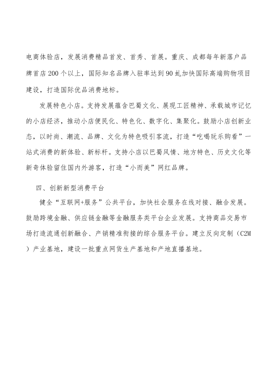 创新新型消费平台行动计划.docx_第3页