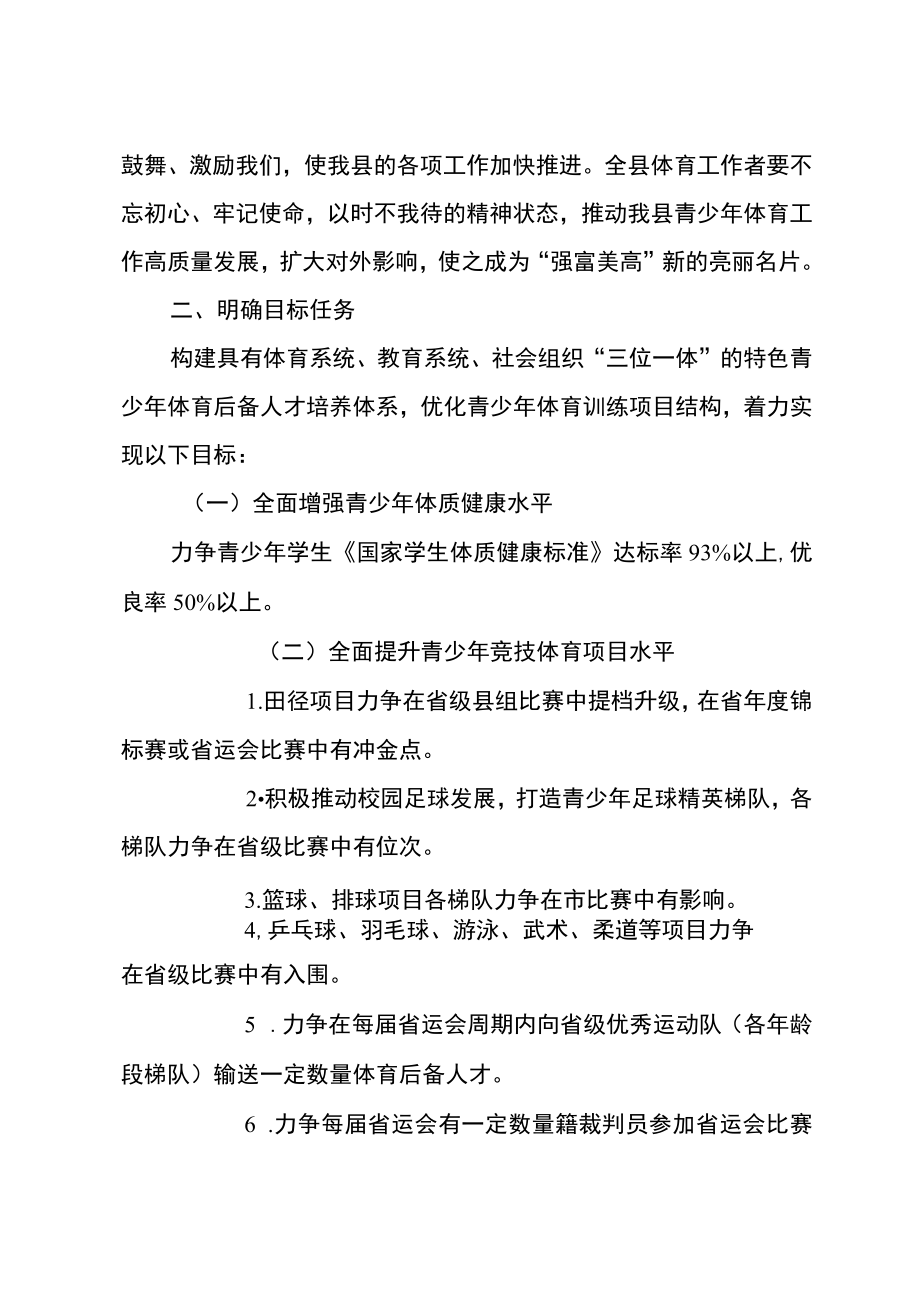 关于进一步做好青少体育工作的实施意见.docx_第3页