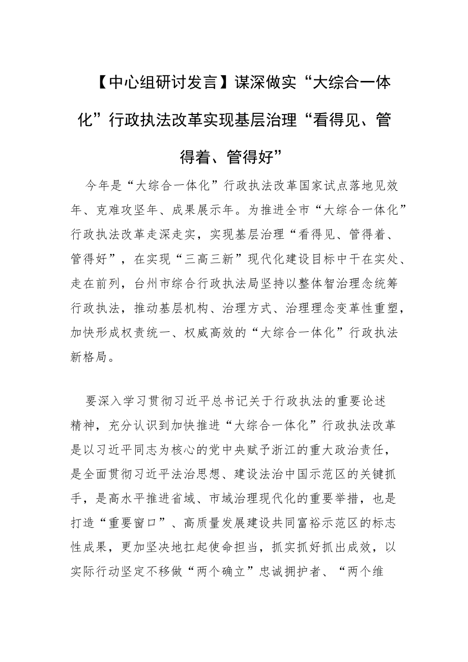 【中心组研讨发言】谋深做实“大综合一体化”行政执法改革实现基层治理“看得见、管得着、管得好”.docx_第1页