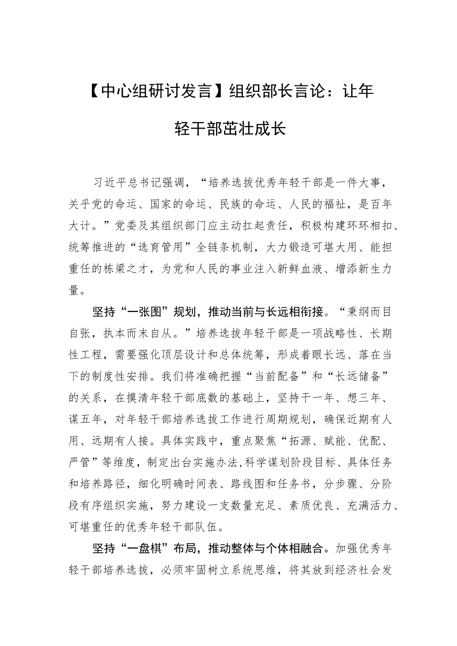 【中心组研讨发言】组织部长言论：让轻干部茁壮成长.docx_第1页