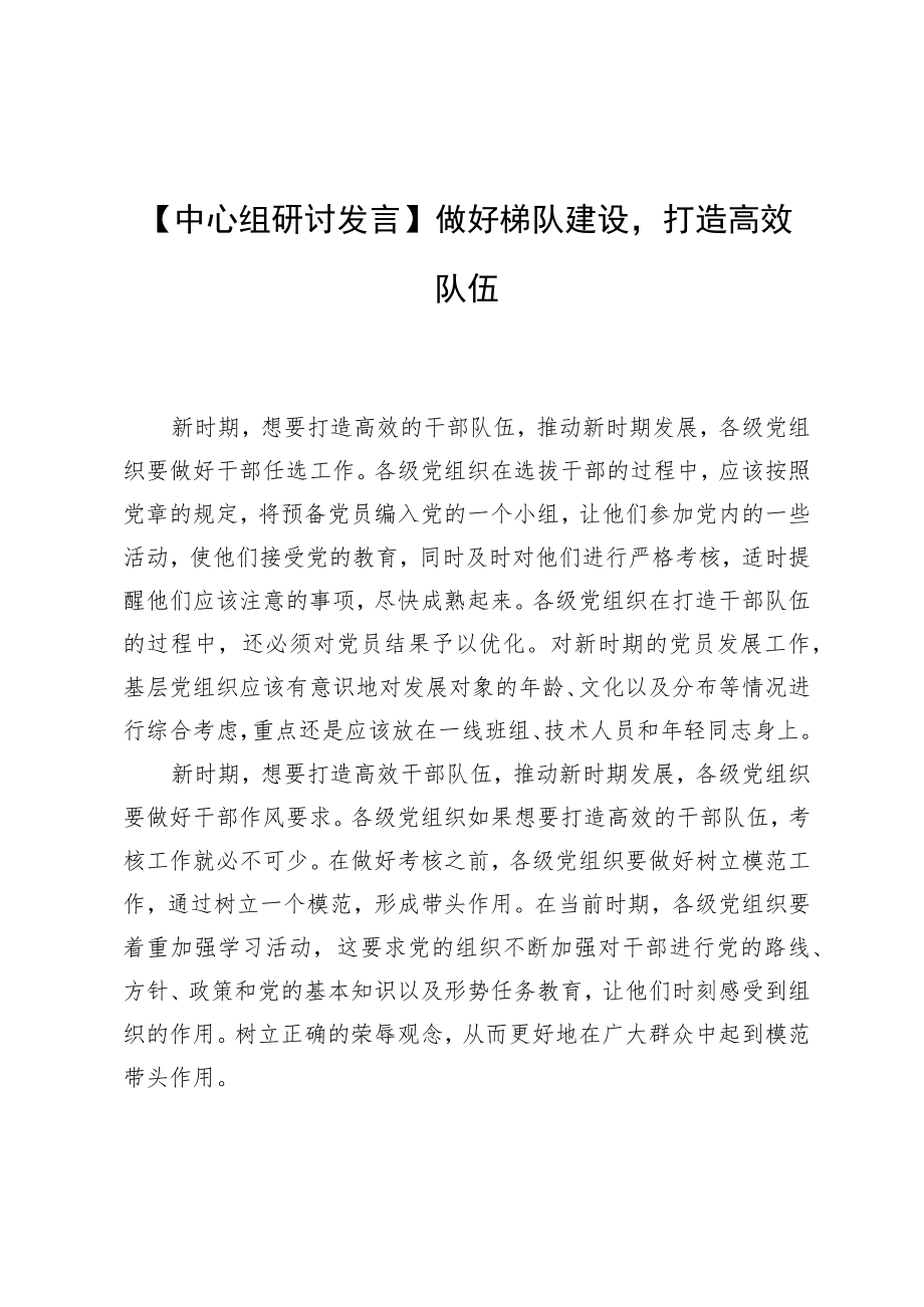 【中心组研讨发言】做好梯队建设打造高效队伍.docx_第1页