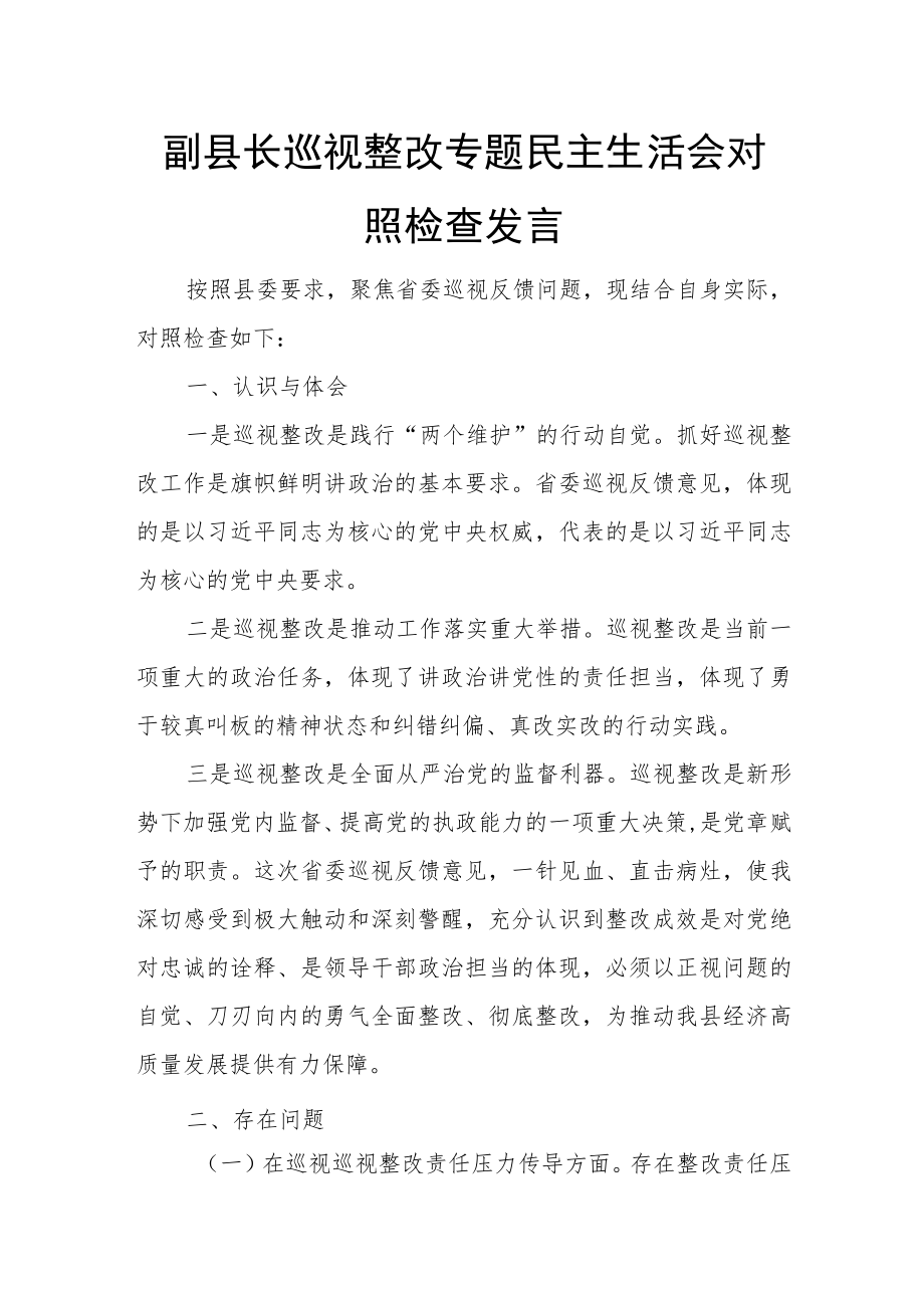 副县长巡视整改专题民主生活会对照检查发言.docx_第1页