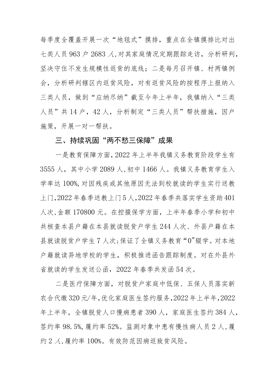 2022上半巩固脱贫攻坚成果工作总结.docx_第2页