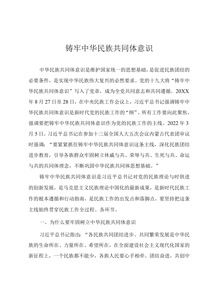 2022书记讲党课《铸牢中华民族共同体意识》.docx_第1页