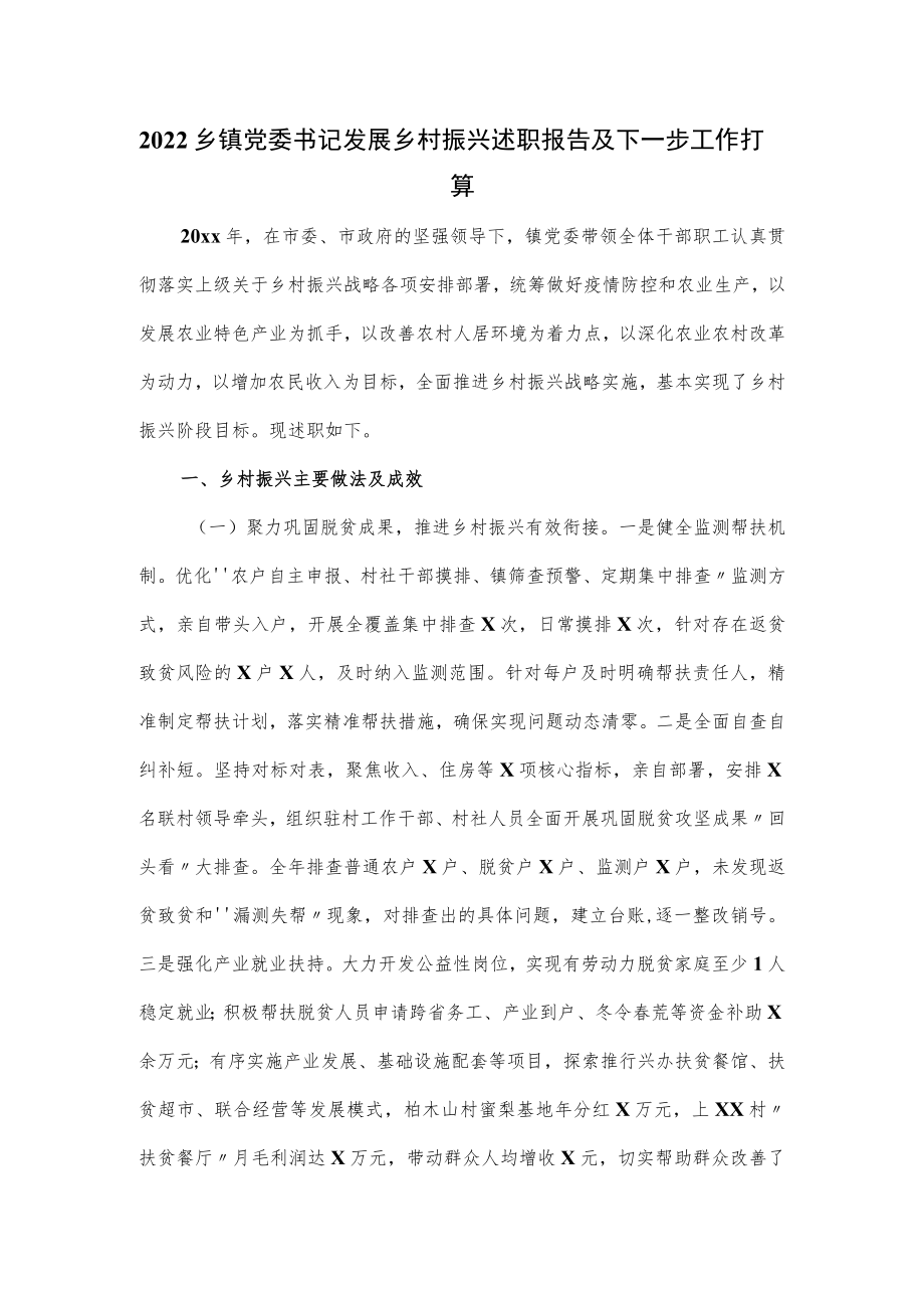 2022乡镇党委书记发展乡村振兴述职报告及下一步工作打算.docx_第1页