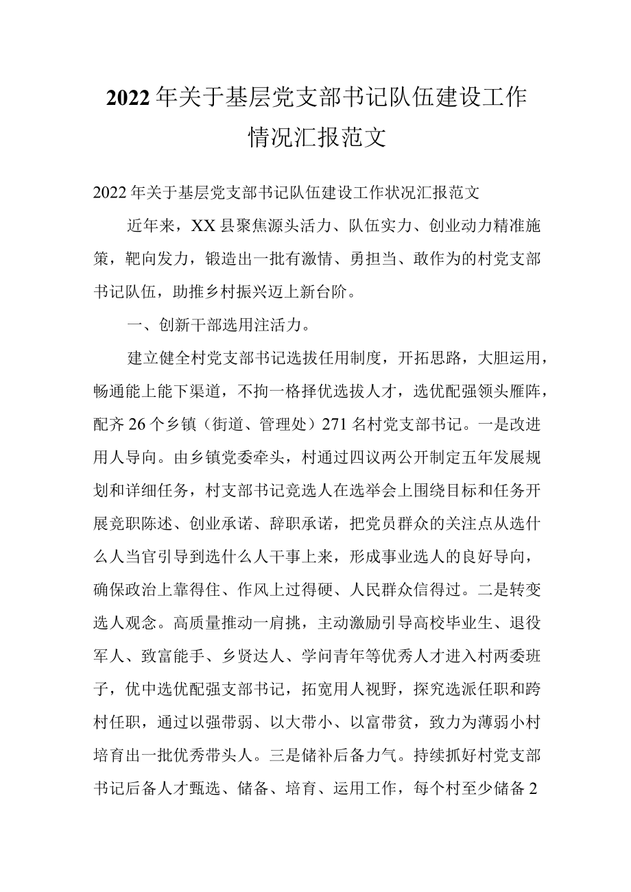 2022关于基层党支部书记队伍建设工作情况汇报范文.docx_第1页