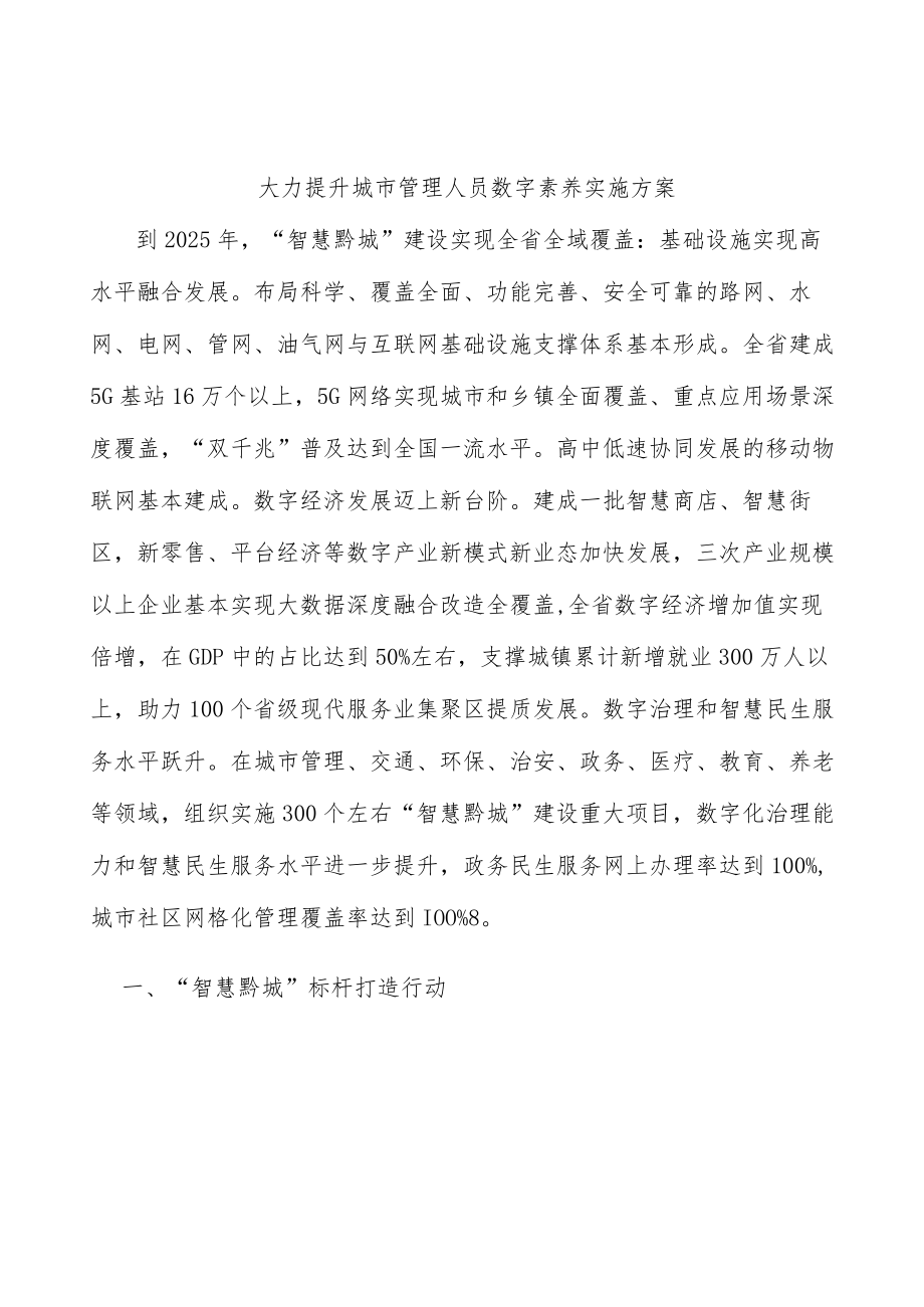 大力提升城市管理人员数字素养实施方案.docx_第1页