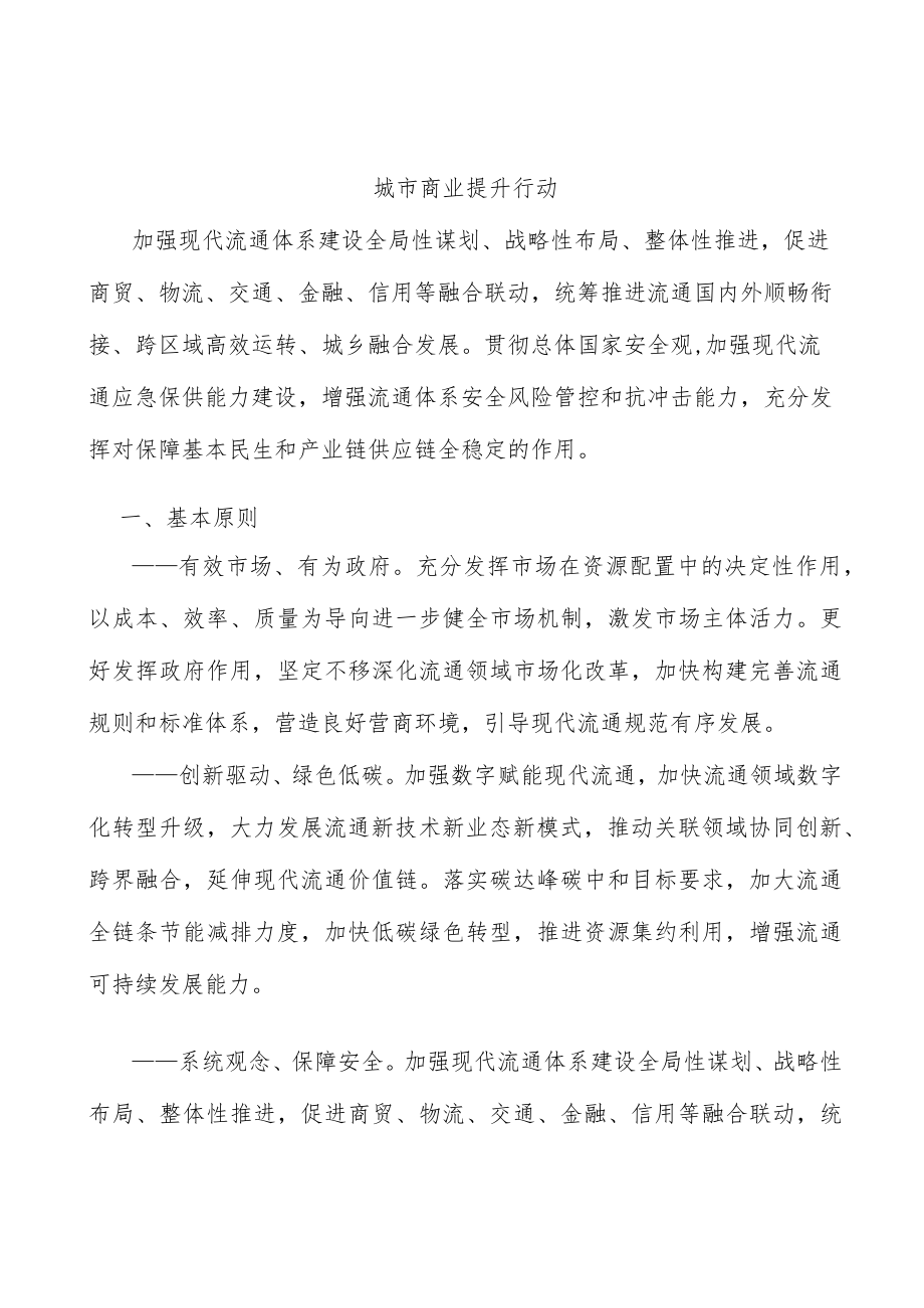 城市商业提升行动.docx_第1页