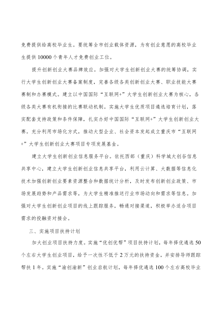 实施项目扶持计划实施方案.docx_第3页