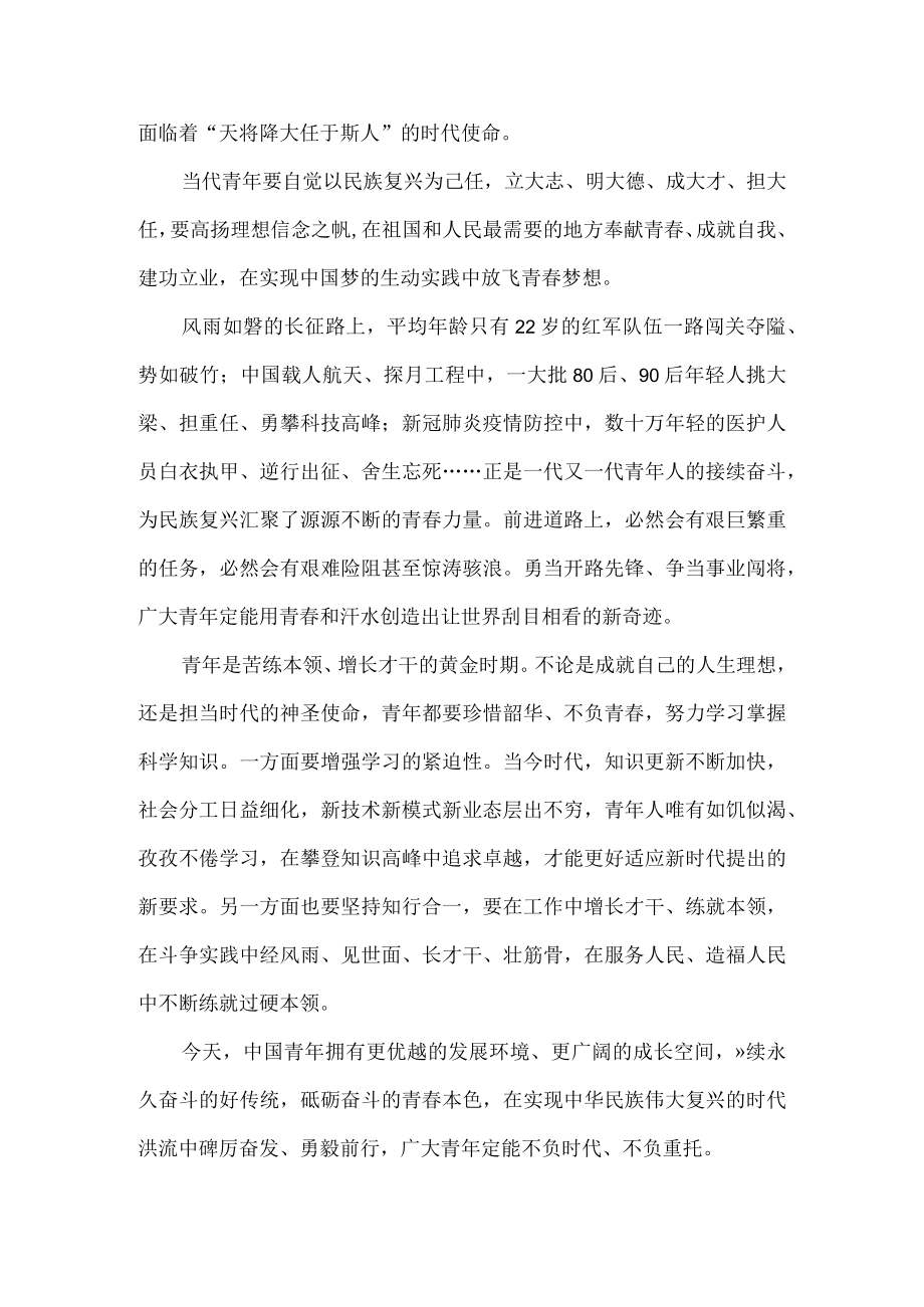 学习庆祝青团成立100周大会重要讲话心得体会二.docx_第2页