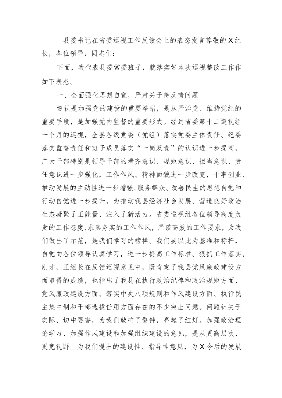 在巡视工作反馈会上的表态发言.docx_第1页