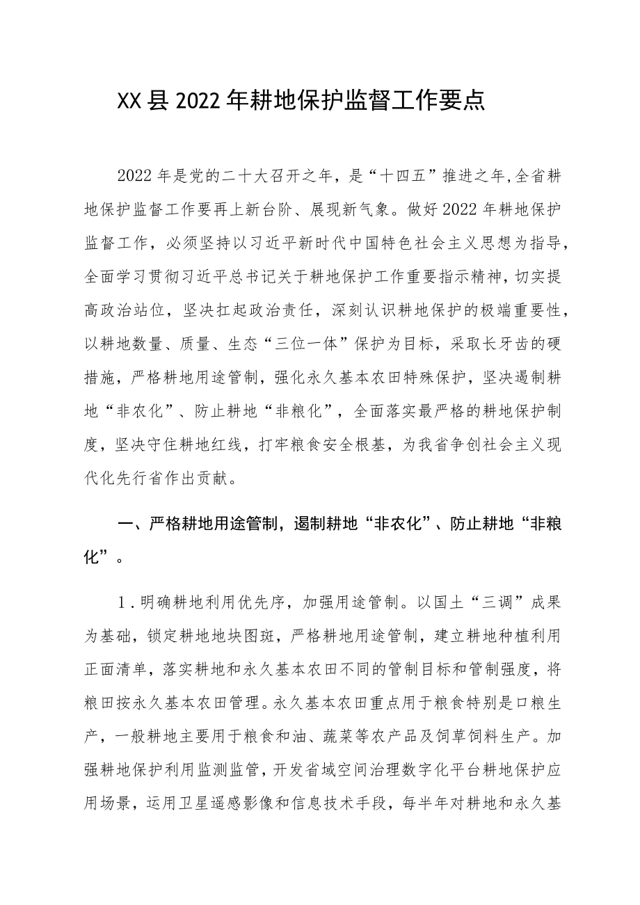 XX县2022年耕地保护监督工作要点.docx_第1页