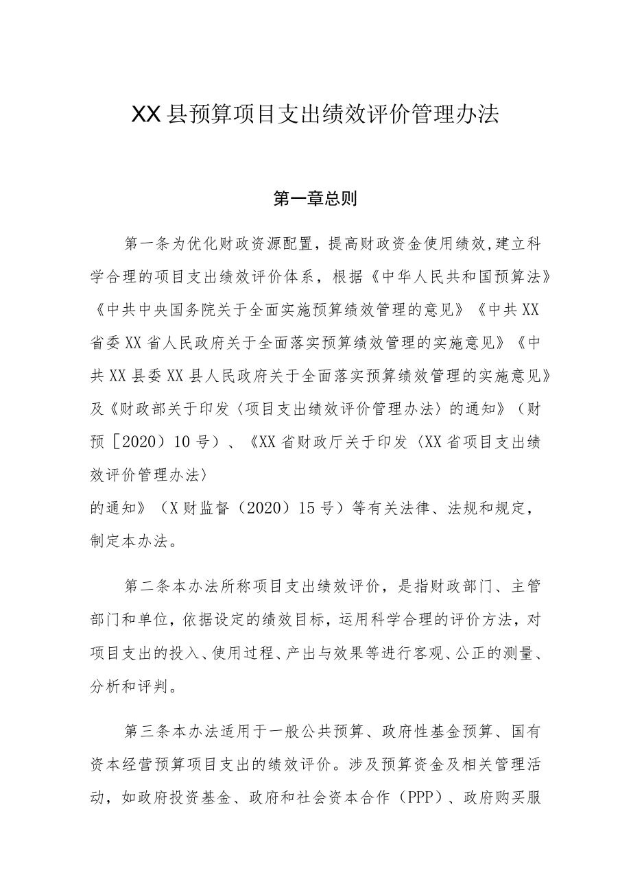 XX县预算项目支出绩效评价管理办法.docx_第1页