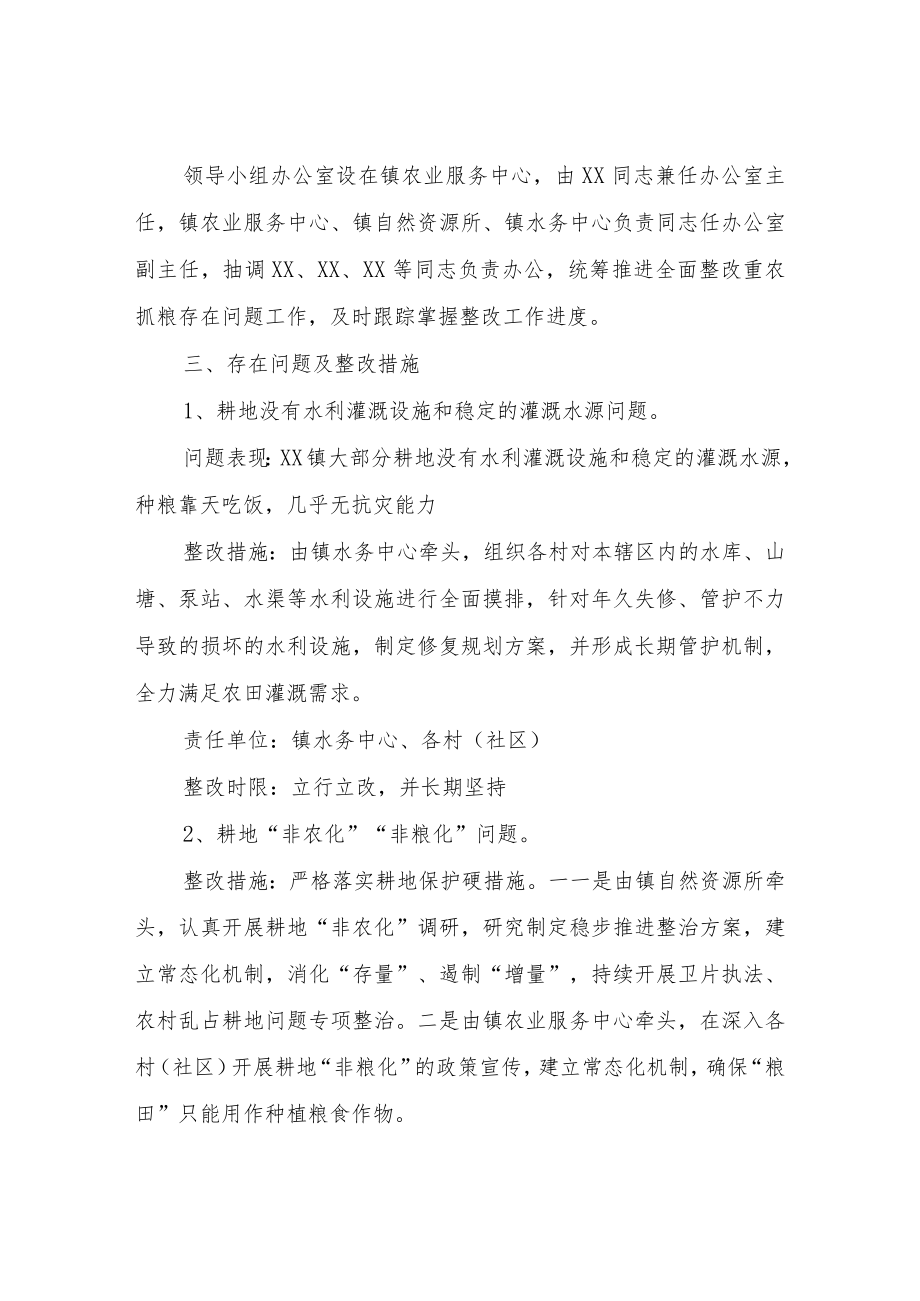 XX镇重农抓粮工作存在问题整改工作方案.docx_第2页