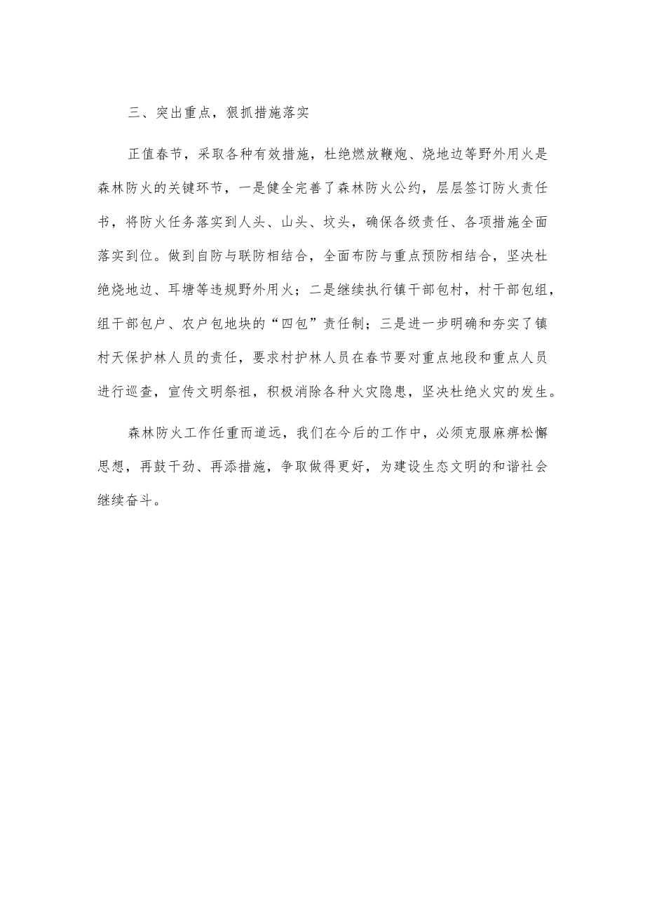 xx镇关于上报春节期间森林防灭火工作总结的报告.docx_第2页