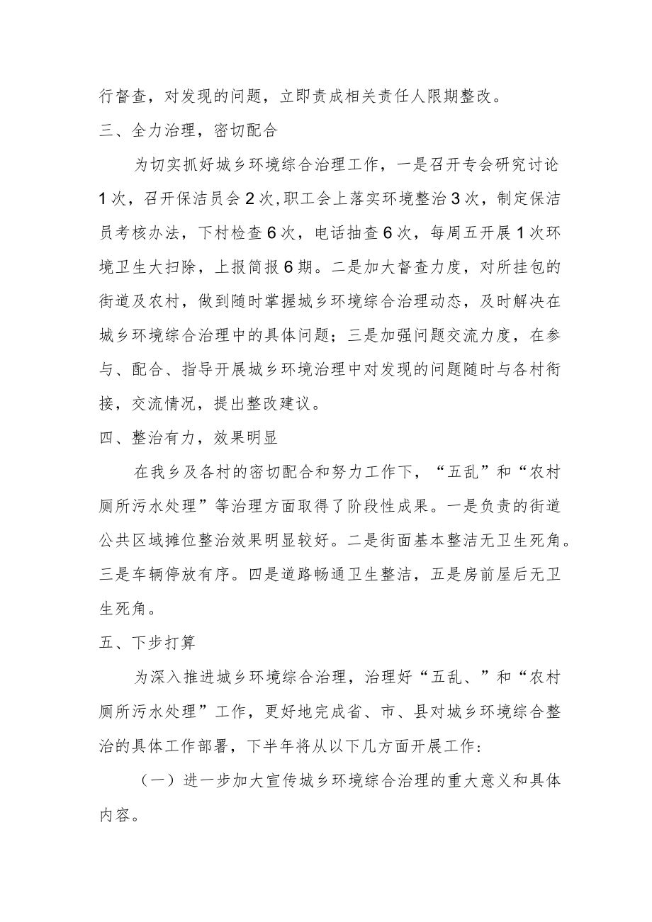 乡镇上半城乡环境综合治理工作总结.docx_第2页