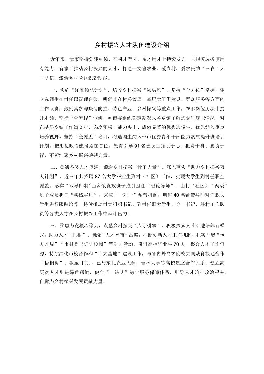 乡村振兴人才队伍建设介绍.docx_第1页