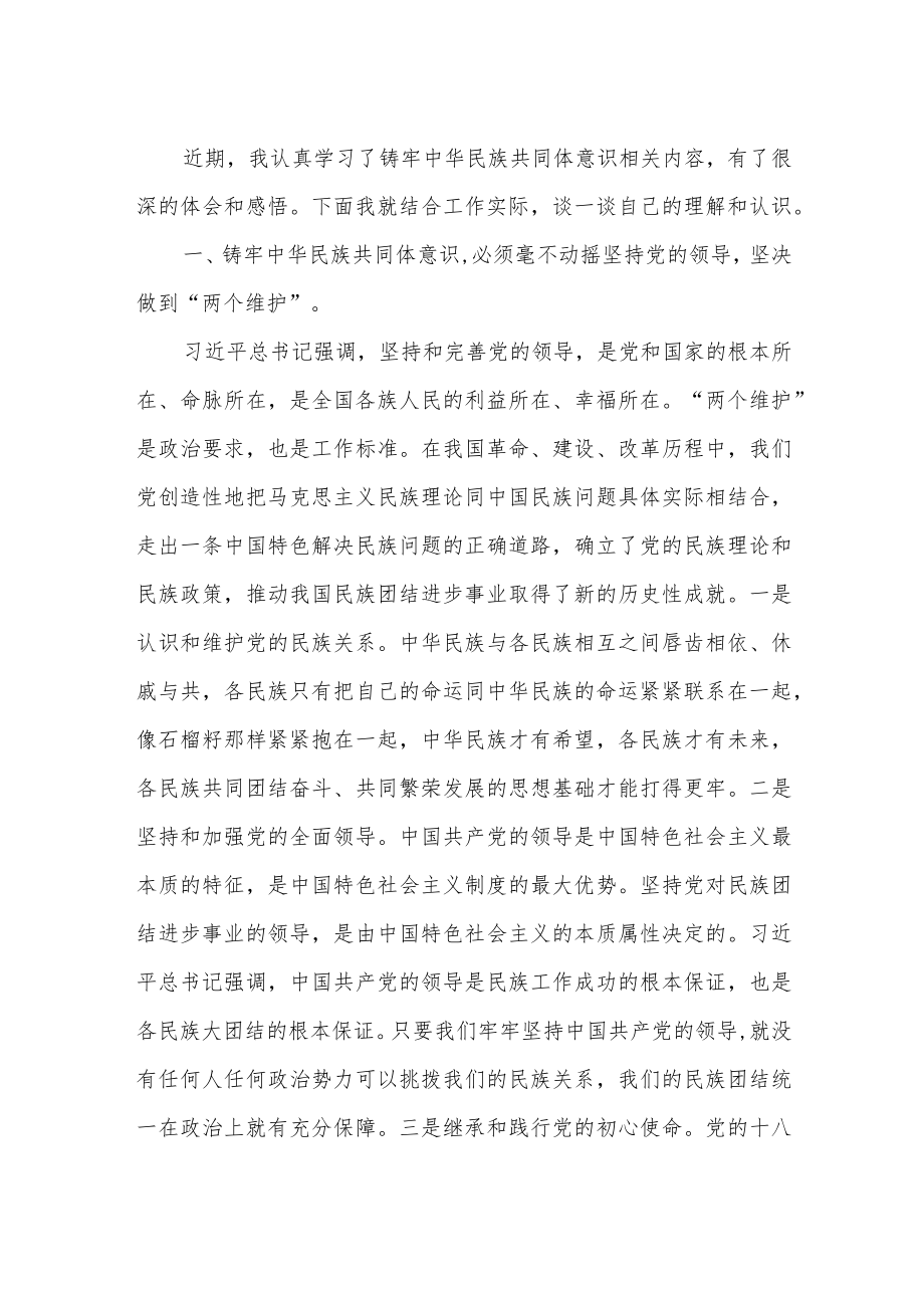 2022-2023“铸牢中华民族共同体意识”专题学习心得体会感想研讨发言3篇.docx_第2页