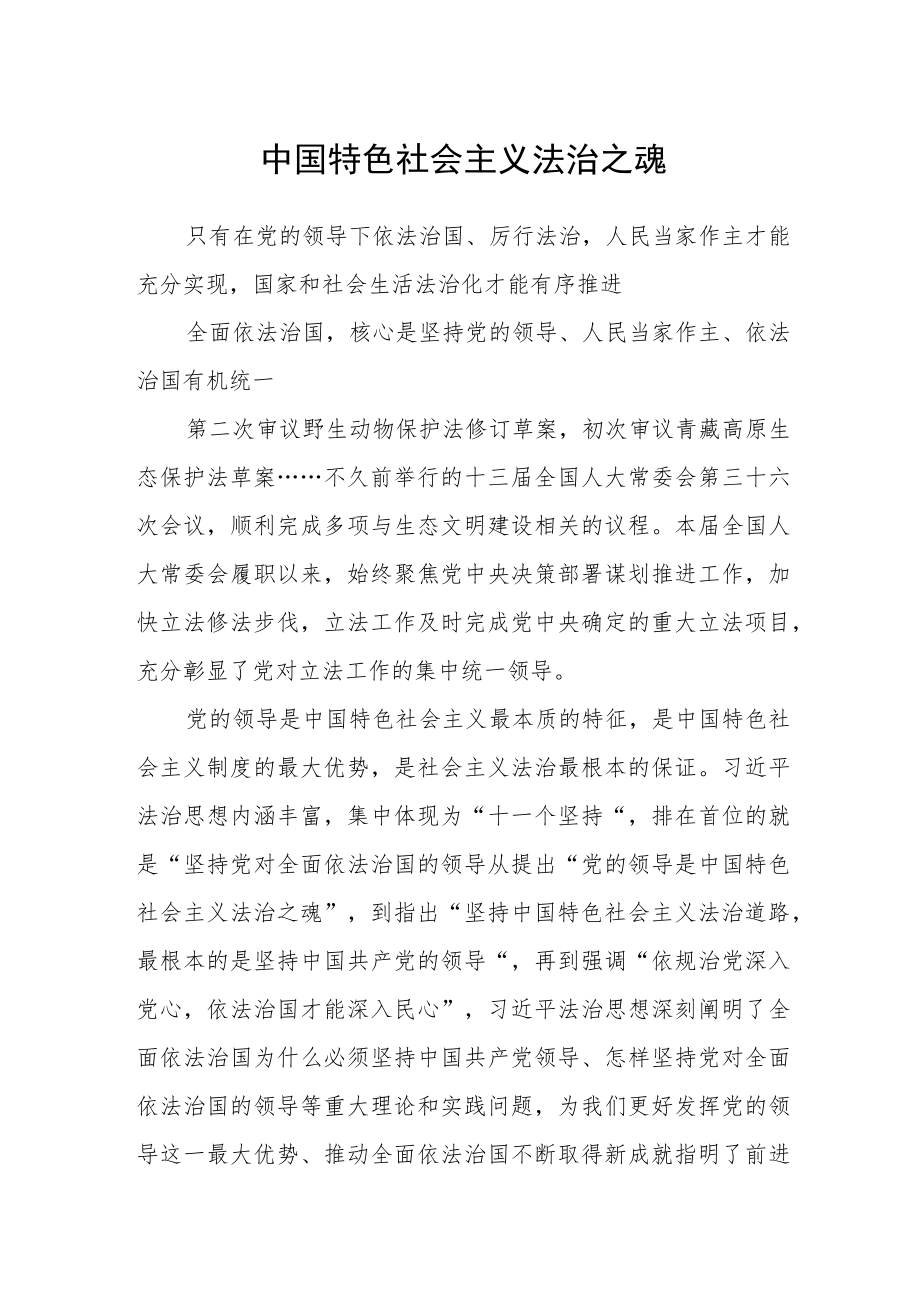 中国特色社会主义法治之魂.docx_第1页