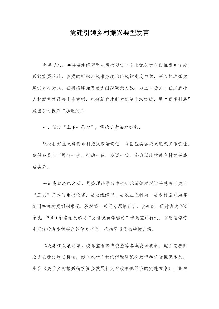 党建引领乡村振兴典型发言.docx_第1页