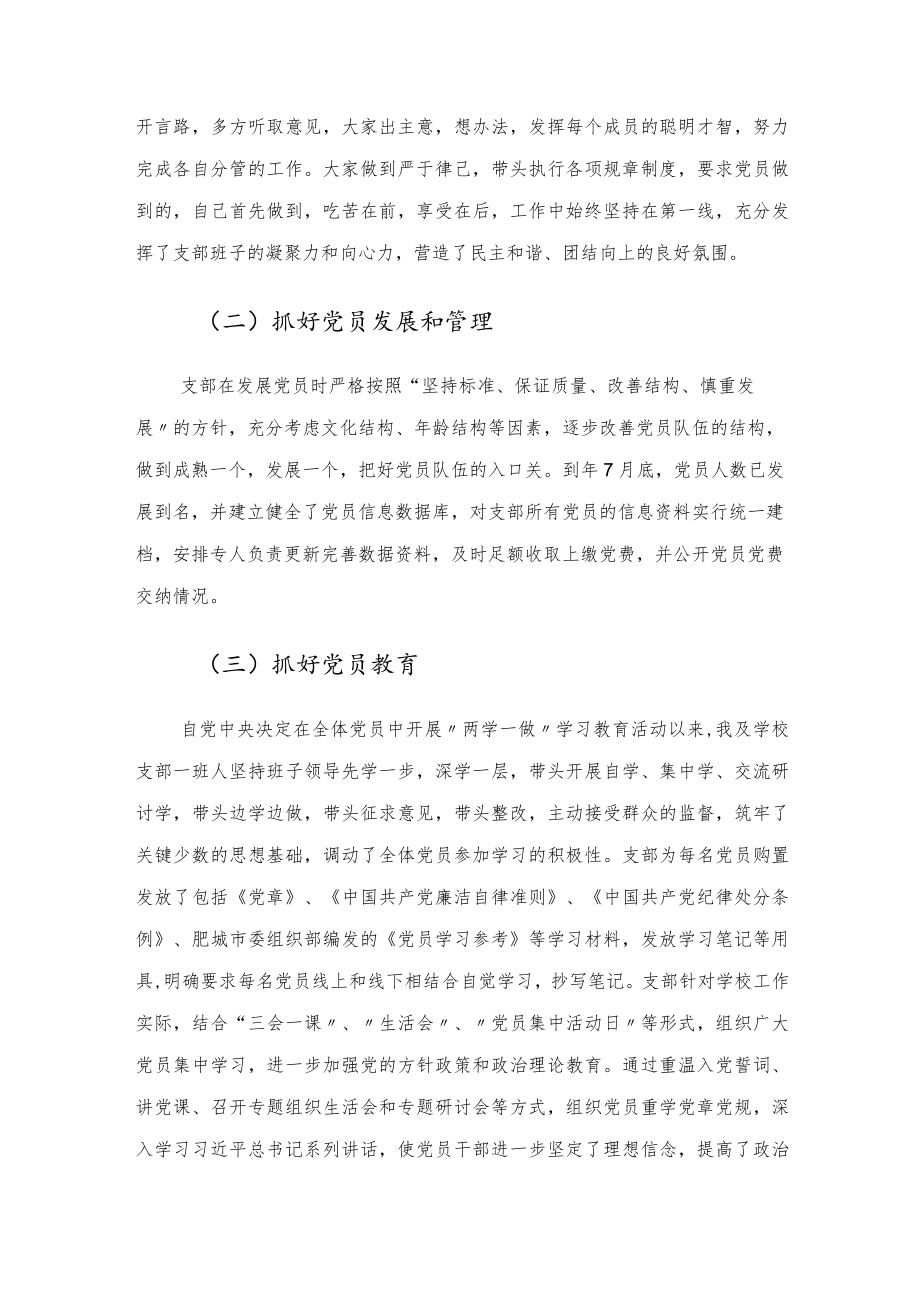 党支部书记述职报告.docx_第2页