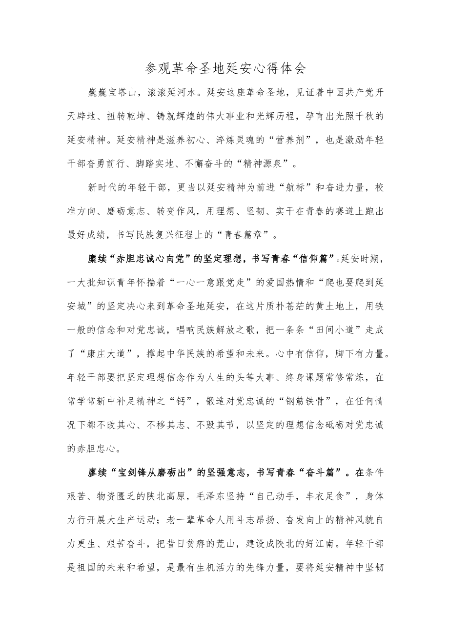 参观革命圣地延安心得体会.docx_第1页