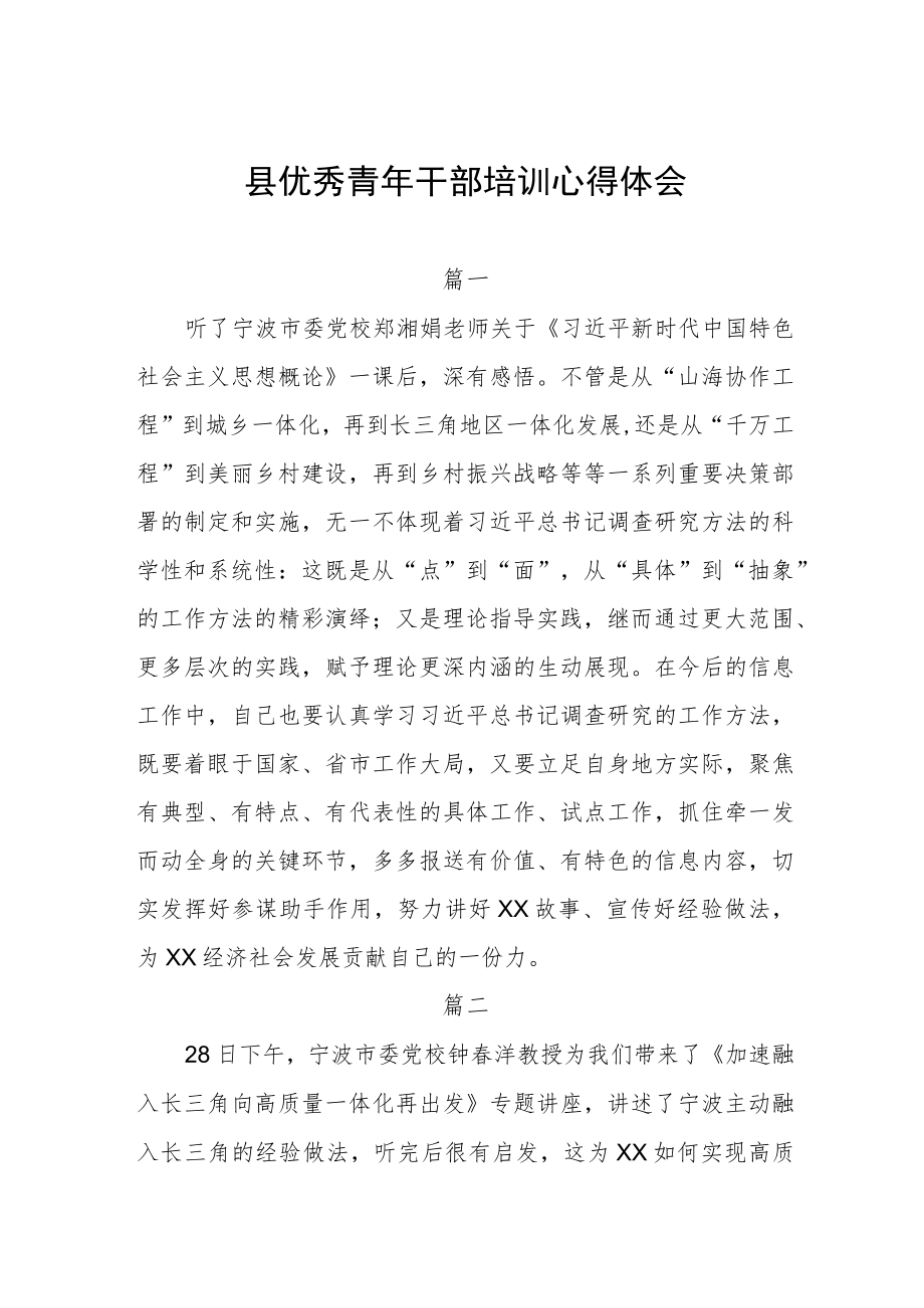 县优秀青年干部培训心得体会四篇.docx_第1页