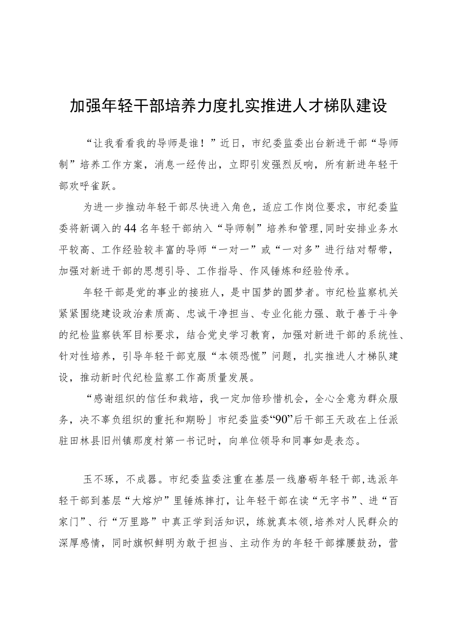 加强轻干部培养力度+扎实推进人才梯队建设.docx_第1页