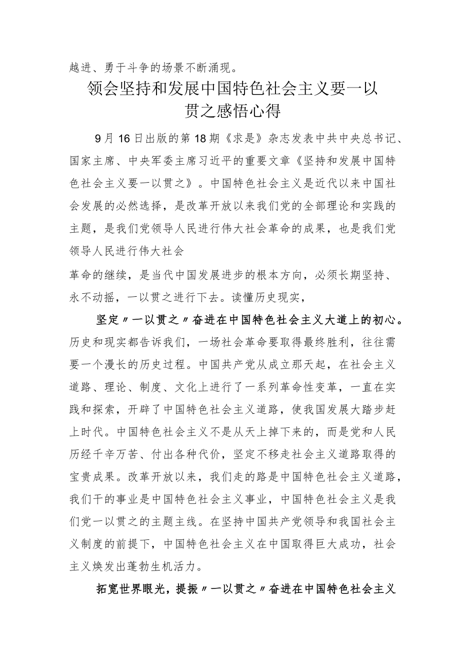 学习落实2022年度《坚持和发展中国特色社会主义要一以贯之》交流发言材料.docx_第3页