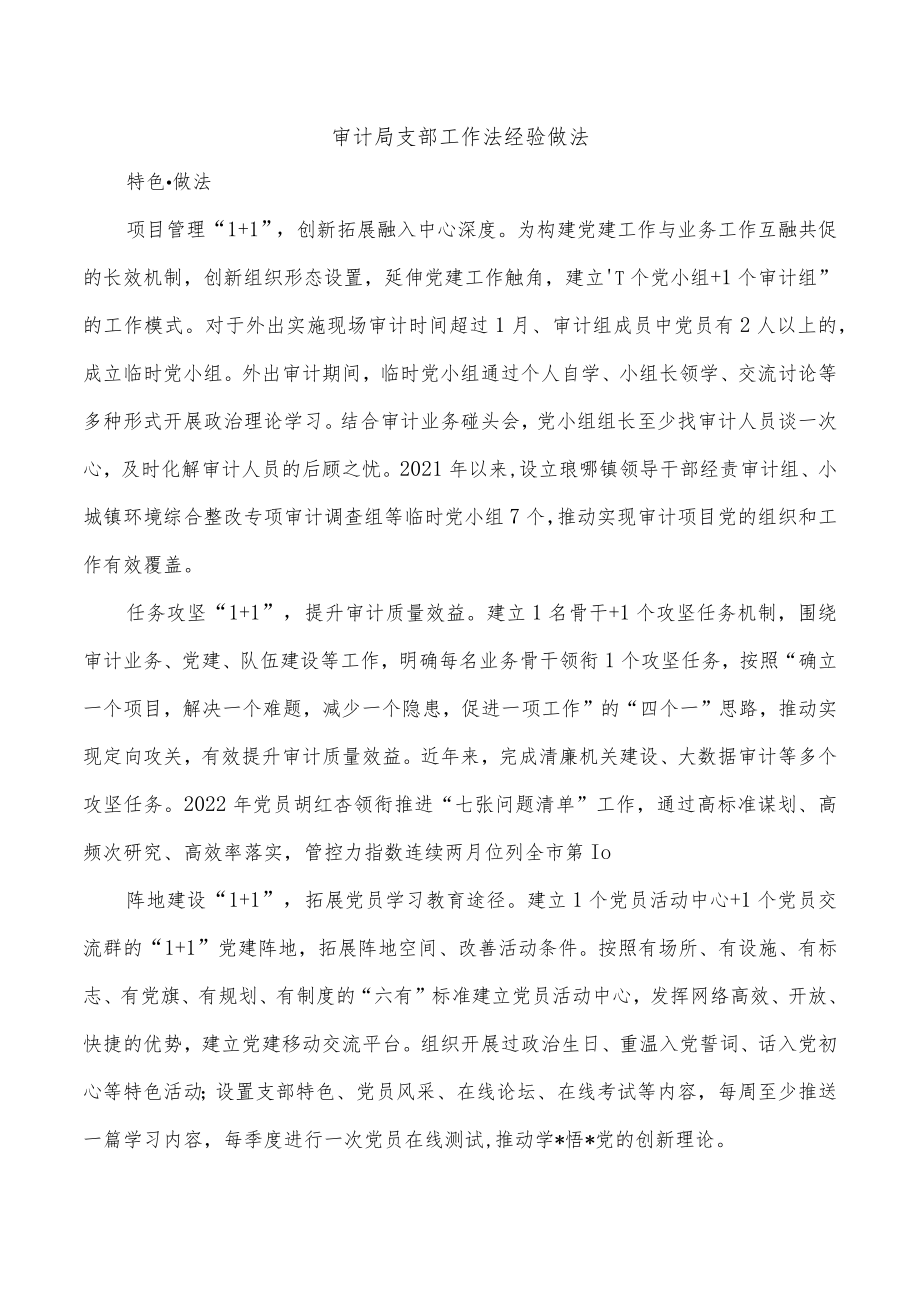 审计局支部工作法经验做法.docx_第1页