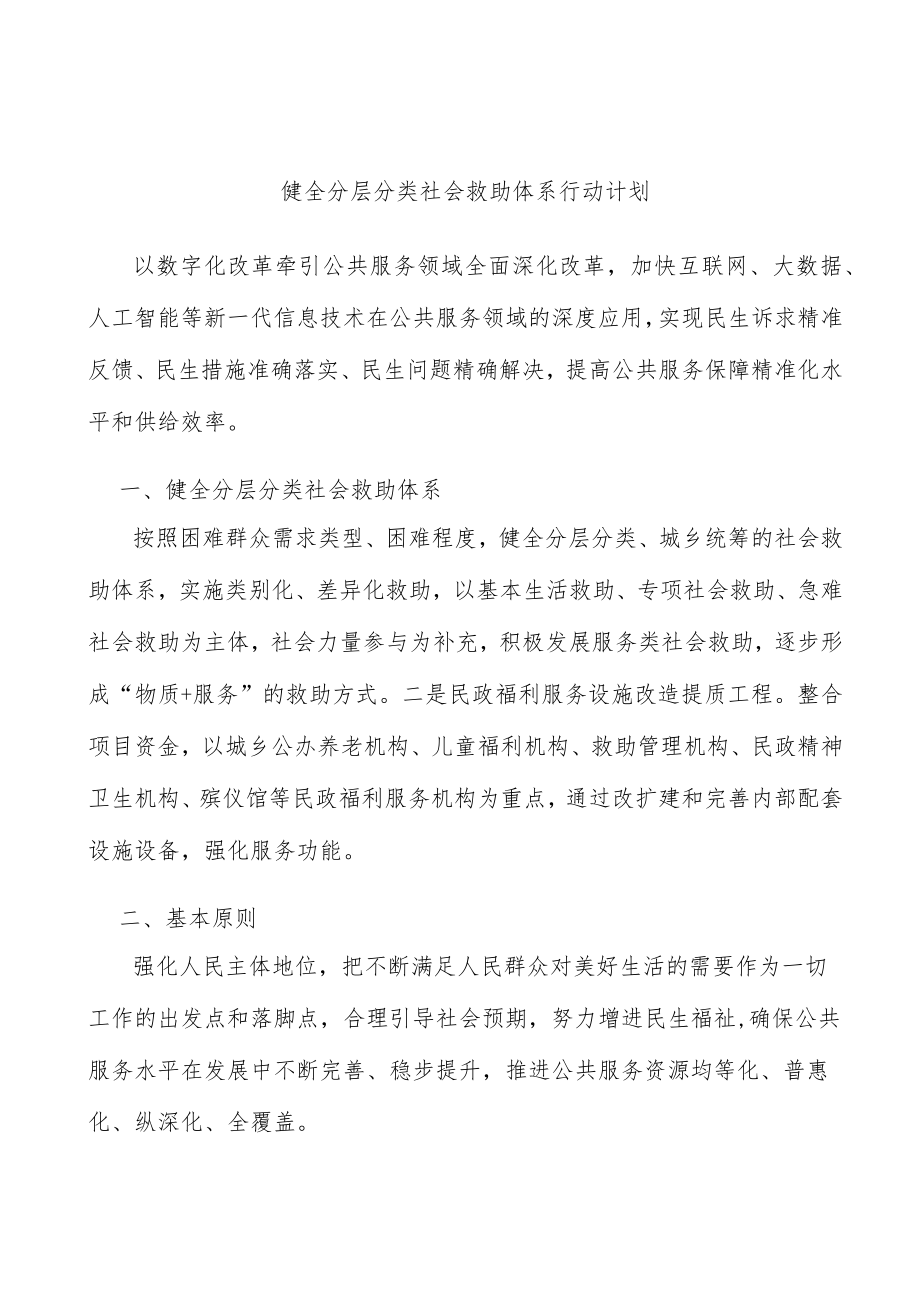 健全分层分类社会救助体系行动计划.docx_第1页