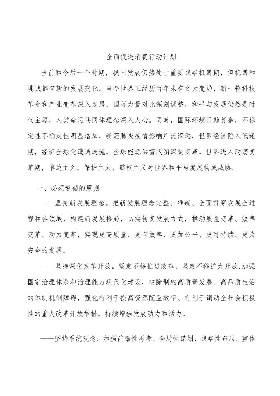 全面促进消费行动计划.docx_第1页