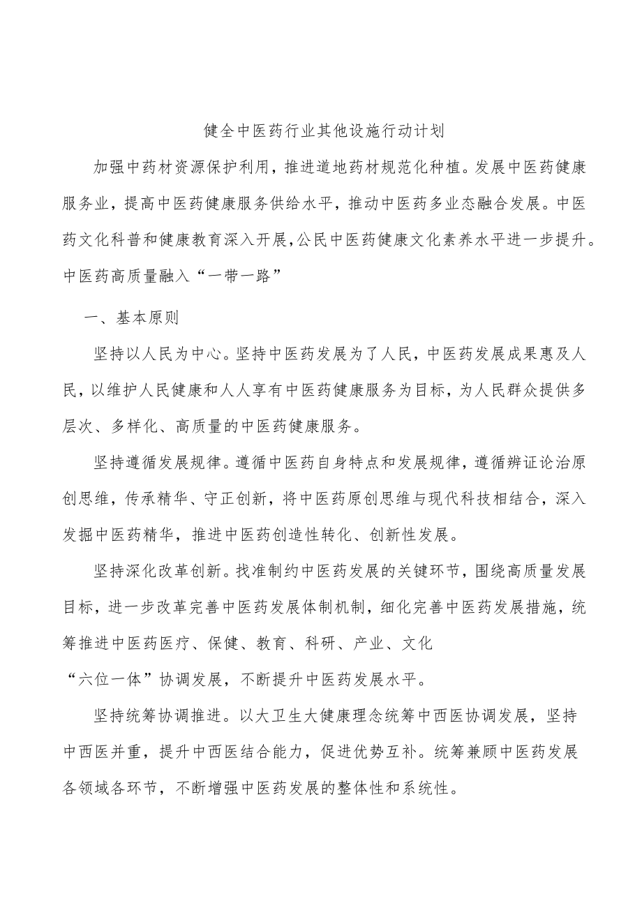 健全中医药行业其他设施行动计划.docx_第1页