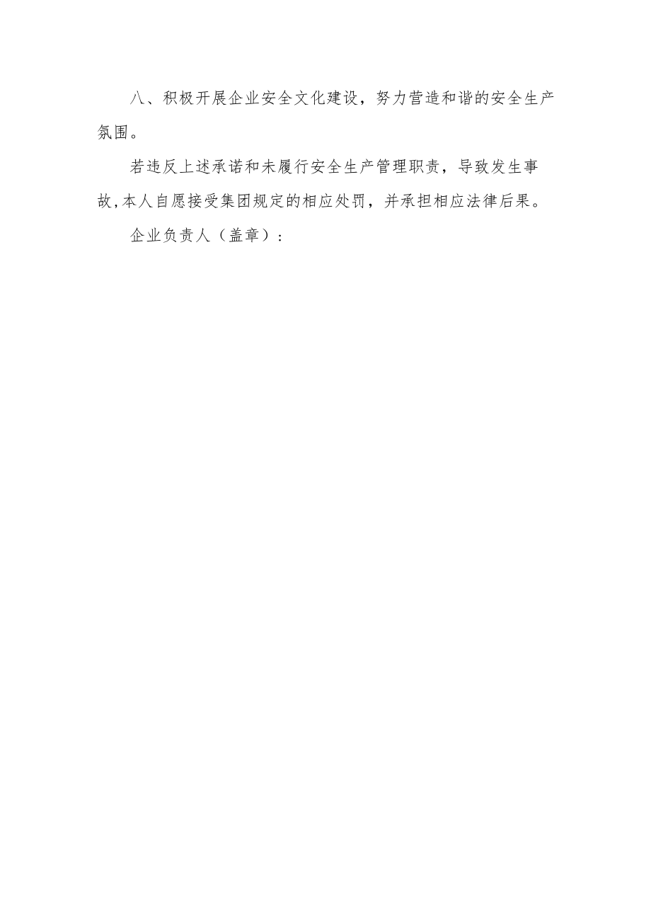 企业主要负责人安全生产承诺书.docx_第2页