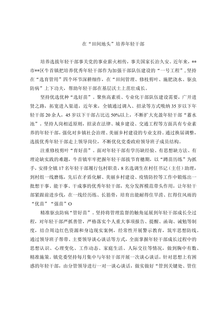 年轻干部培养工作经验交流材料.docx_第1页