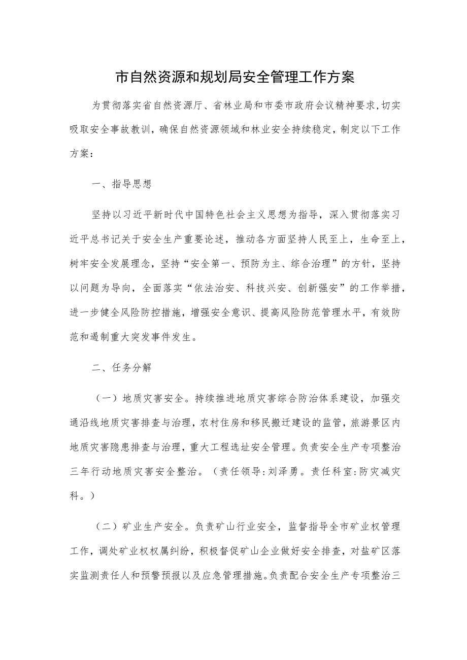 市自然资源和规划局安全管理工作方案.docx_第1页