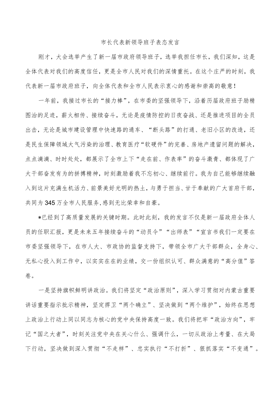 市长代表新领导班子表态发言.docx_第1页