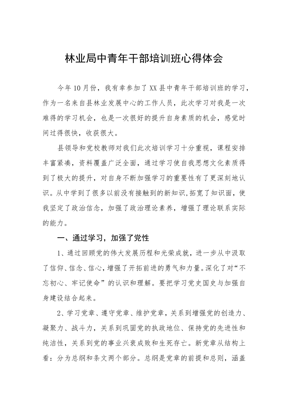 市监局青年干部素质提升培训班学习体会五篇模板.docx_第1页